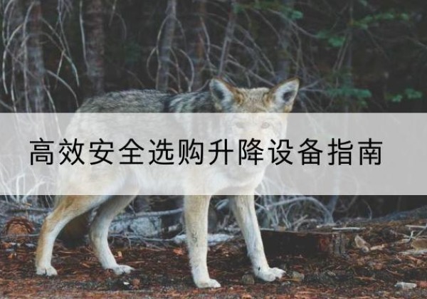 苏尼特左旗升降货梯厂家推荐-*安全选购升降设备指南