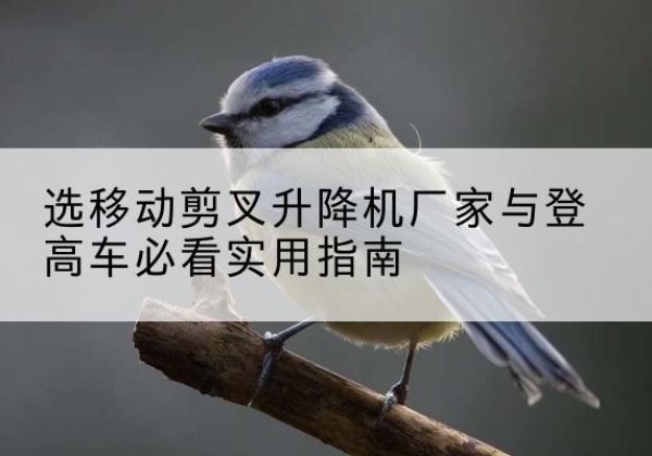 苏尼特左旗电动升降机厂家-选移动剪叉升降机厂家与登高车必看实用指南