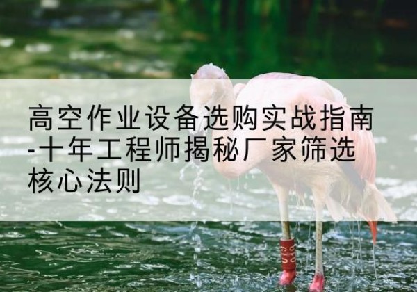 苏尼特左旗剪叉式升降机厂家-高空作业设备选购实战指南-十年工程师揭秘厂家筛选核心法则